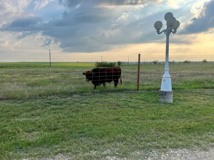 LoneStar Station RV Ranch & Studios Picture 5