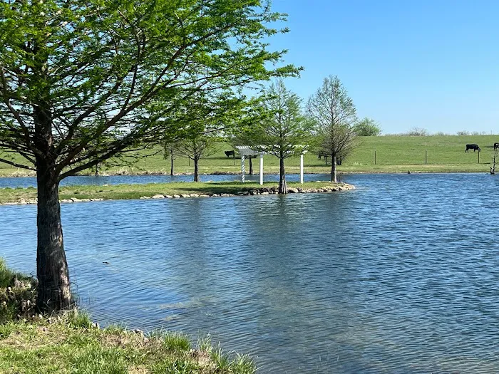 LoneStar Station RV Ranch & Studios Picture 9