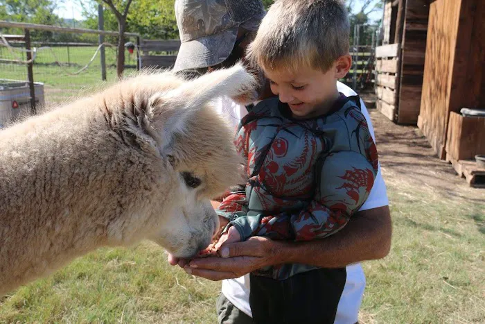 Wagon Master RV Park & Alpaca Farm Picture 9