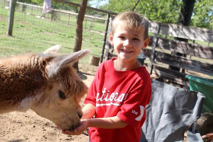 Wagon Master RV Park & Alpaca Farm Picture 5