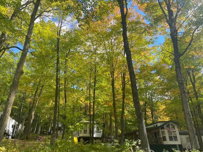 Camp Brigadoon Picture 9