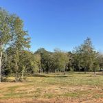Pine Tar RV Park