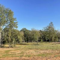 Pine Tar RV Park ico