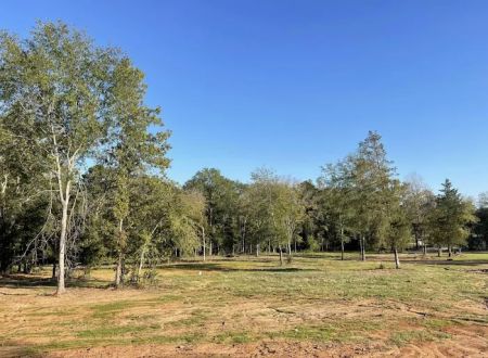 Pine Tar RV Park