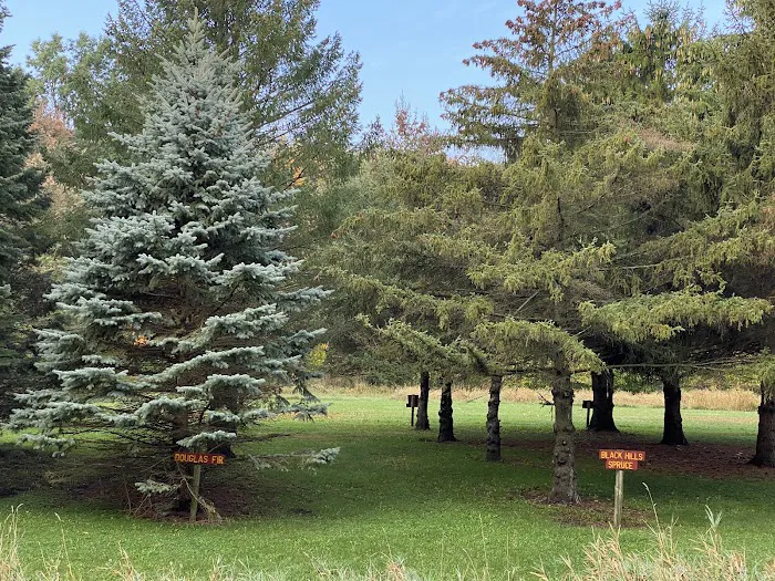 Wolden Recreation Area Picture 6