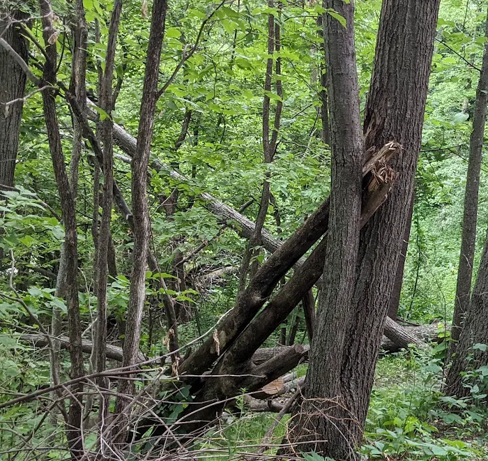 Kennedy Park Campground Picture 10