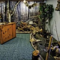 Webster County Conservation ico