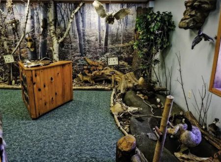 Webster County Conservation