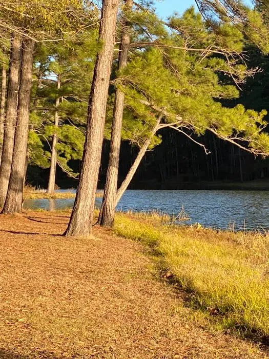 The Reserve RV Park Picture 5