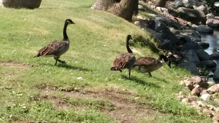 Straight Park Campground Picture 7