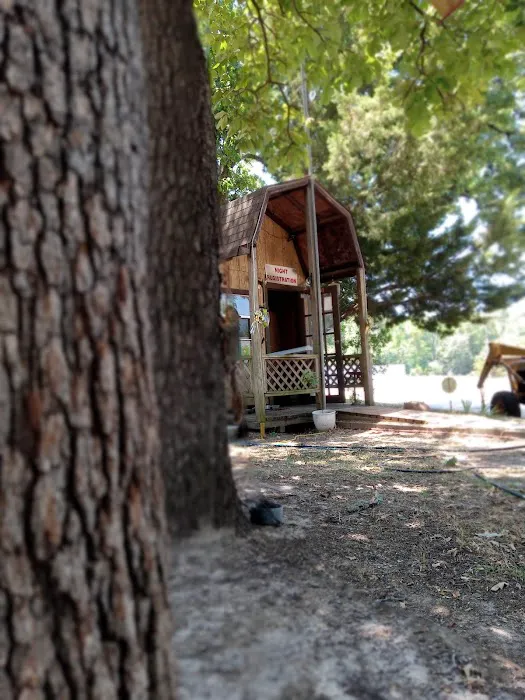 Willow Branch RV Park Picture 3