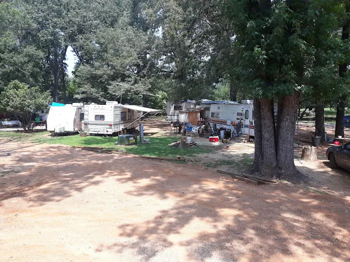 Willow Branch RV Park Picture 5