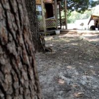 Willow Branch RV Park ico