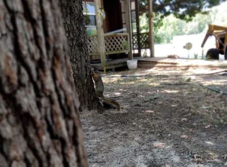 Willow Branch RV Park