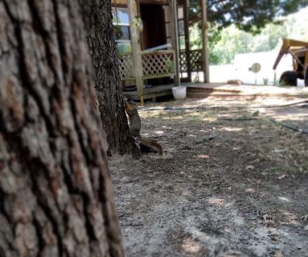 Willow Branch RV Park