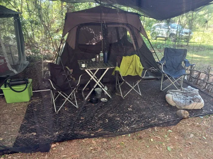 My backyard camp Picture 5