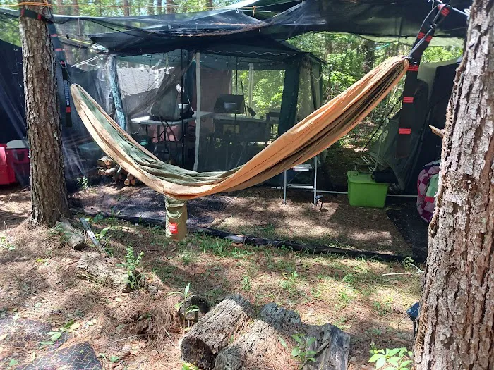 My backyard camp Picture 2