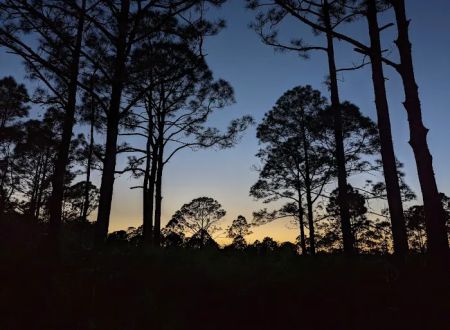 FLYING A CAMPGROUND, SITE 1