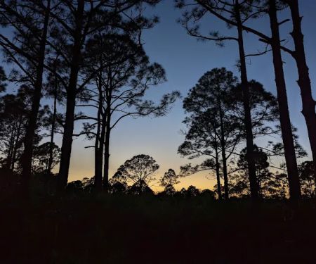FLYING A CAMPGROUND, SITE 1