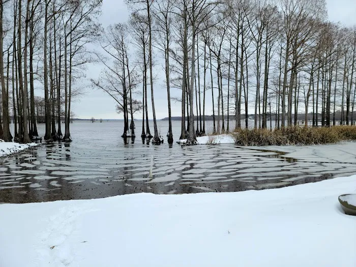 Buzzard Bay Landing & RV Park, LLC Picture 4