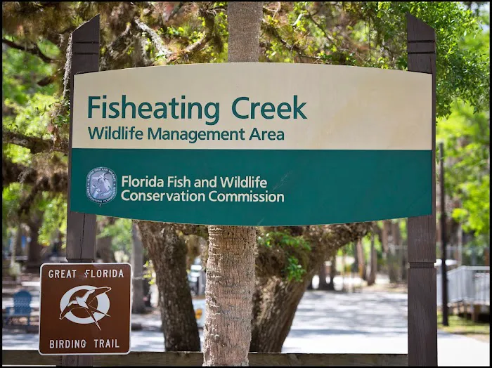 Fisheating Creek Picture 10