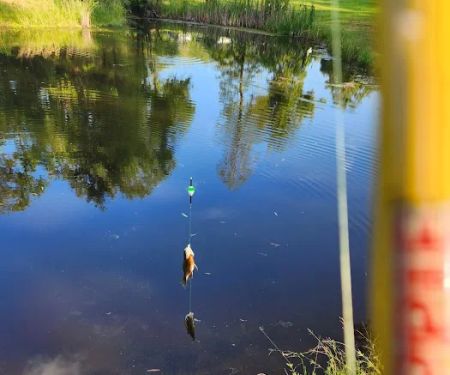 Country Haven RV Park