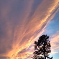 Laguna Vista RV Park Inc. - Campground Site, RV Sites in Marshall TX ico