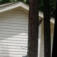 Holiday Springs RV Park ico