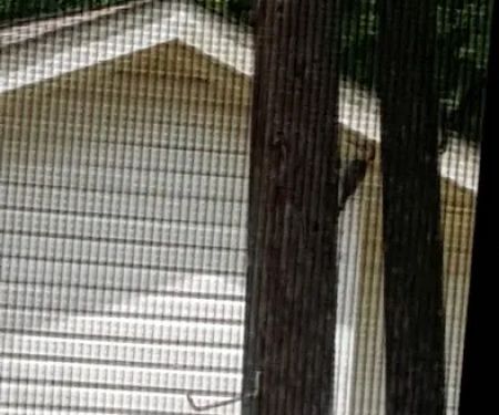 Holiday Springs RV Park