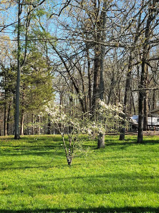 Cranfield Campground Picture 6