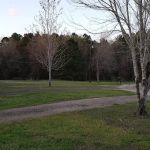 Circle M RV Park