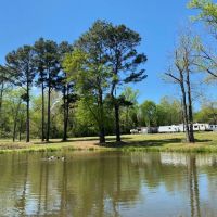 Bedrock RV Park ico
