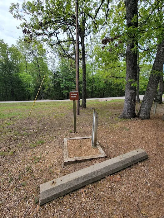 Robinson Point Picture 7