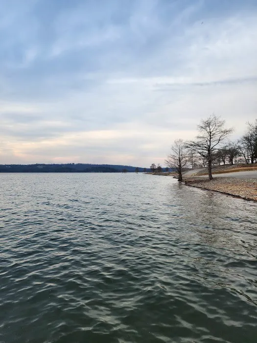Robinson Point Picture 9