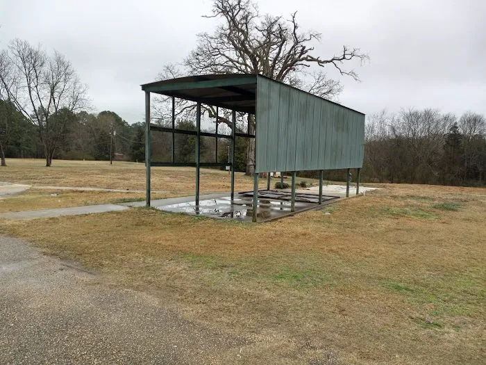 Settled Roots RV Park Picture 5