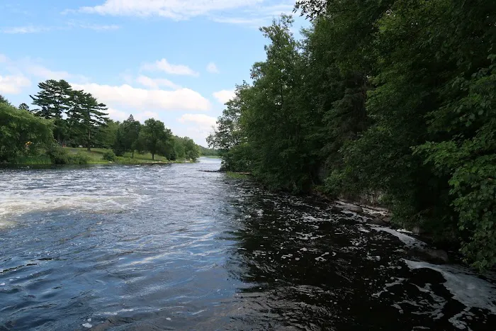 Wanoka Lake Campground Picture 3