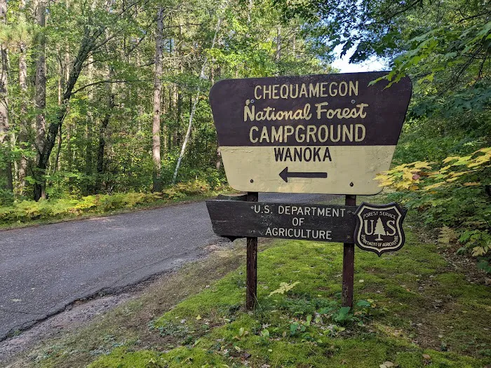 Wanoka Lake Campground Picture 6
