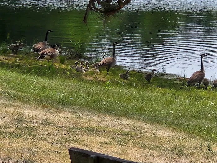 Moon Lake Park Picture 2