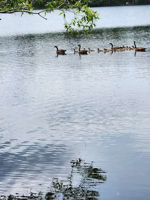 Moon Lake Park Picture 5
