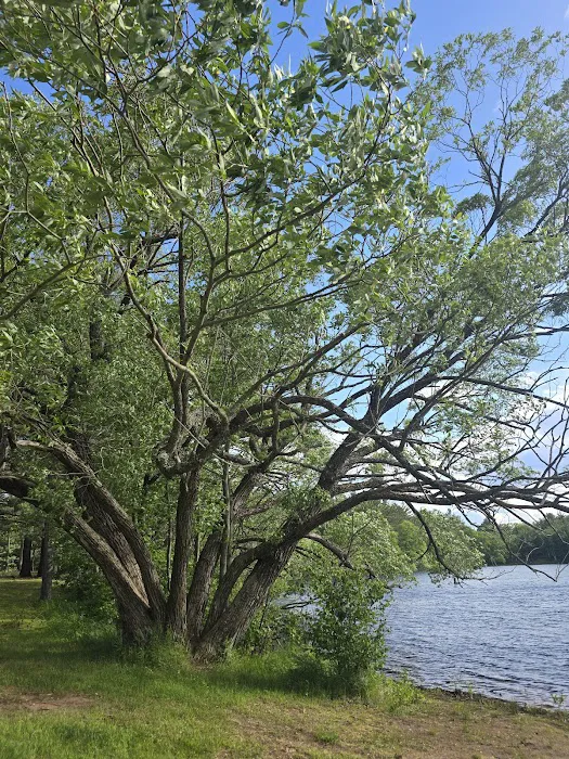 Moon Lake Park Picture 4