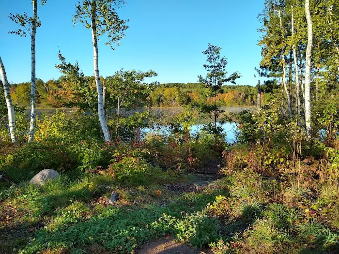 Birch Grove Campground Picture 10