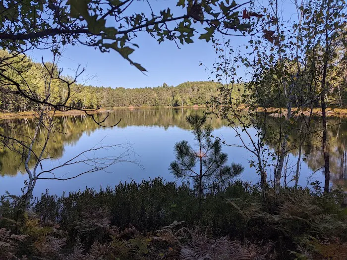 Horseshoe Lake Horse Campground Picture 4