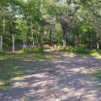 Horseshoe Lake Horse Campground ico
