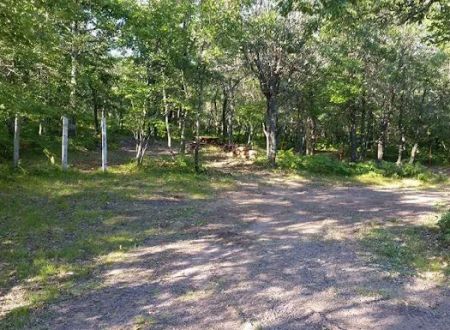Horseshoe Lake Horse Campground