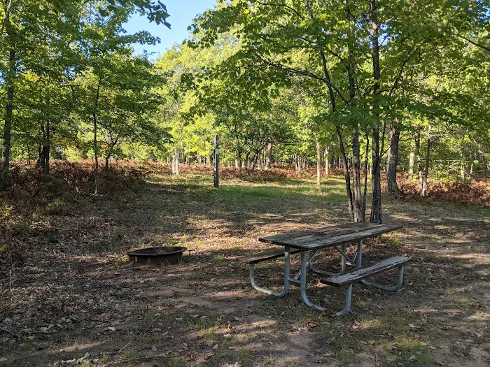 Horseshoe Lake Horse Campground Picture 6
