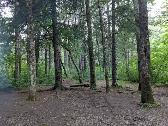 Bois Brule Campground Picture 5