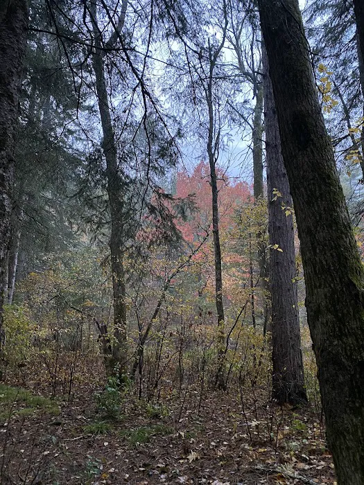 Bois Brule Campground Picture 6