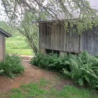 Whiterock Conservancy Oak Ridge Campground ico