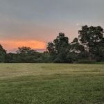 Whiterock Conservancy Star Field Campground