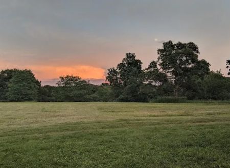 Whiterock Conservancy Star Field Campground